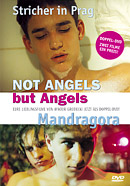Film: Not Angels but Angels