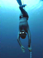 Film: Freediver – In der Tiefe lauert der Tod