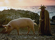 Film: Seine Majestät, das Schwein